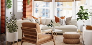 Furniture Removal
