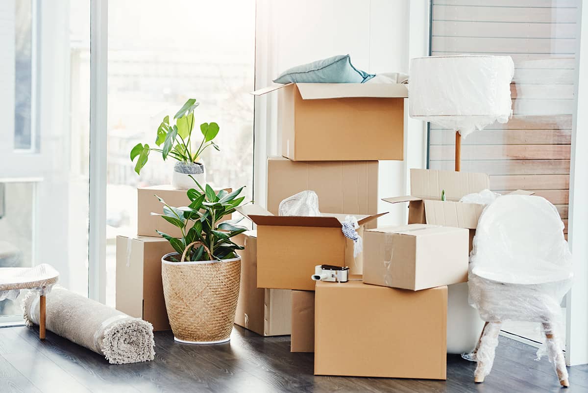 Packing & Unpacking boxes